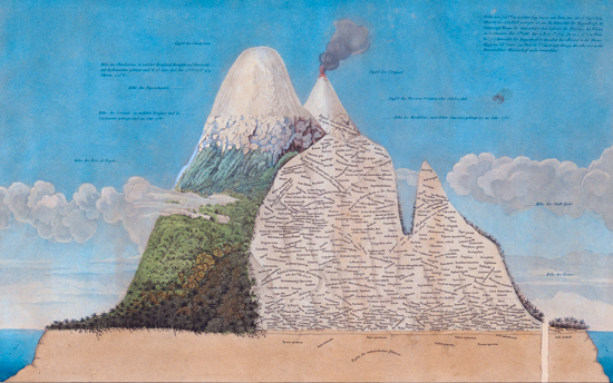 Alexander von Humboldt and A.G. Bonpland. It is titled, Geography of Plants in the Tropics, 1803.